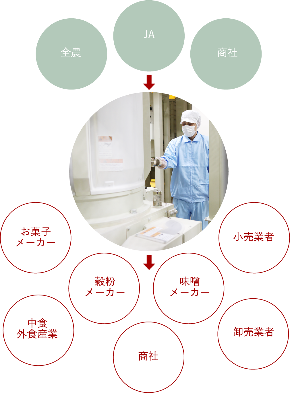 精麦事業の流れ