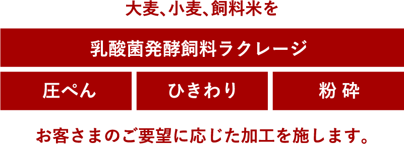 畜産飼料について